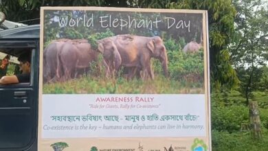 Elephant Awareness: Naxalbari Rally to Curb