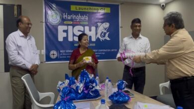 Haringhata Fish: Fresh Fish & Golden Eggs in Kolkata