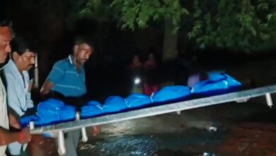 Missing Girl: Missing Girl's Body Identified via DNA Test