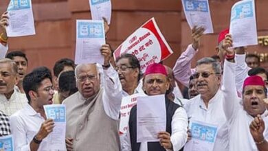 Bengali Pride: TMC MPs Protest in Parliament