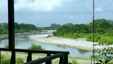 Sisamara Sanctuary: An off‑beat Dooars wildlife retreat near Siliguri