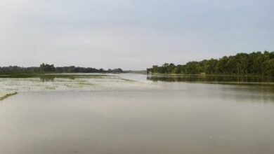 Flood Devastation: Flood Devastation Strikes Sankrail Farms