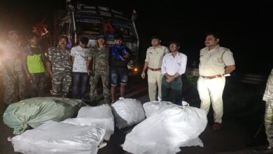 Jhargram Seizure: Police Recover 3,500 Bottles of Cough Syrup