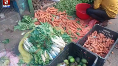 vegetable prices drop