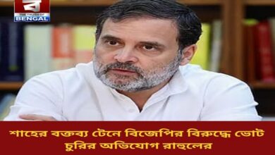 rahul-accuses-bjp-of-stealing-votes-and-staying-in-power-citing