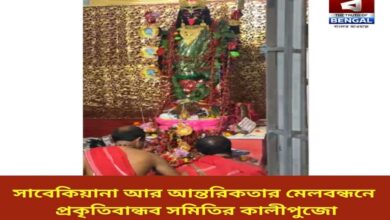 kalipuja-koushiki-amavasya-newtown