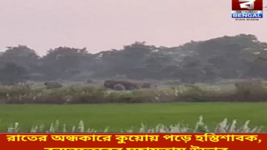 elephant-calf-falls-into-well-in-the-dark-of-night-rescued-with-the-help-of-forest-department