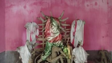 Durga Puja: 300-Year-Old Tradition of Naskar Family Continues