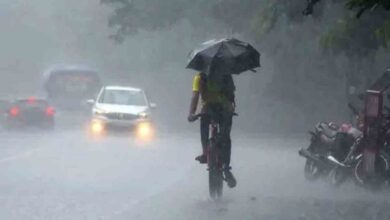 Bengal Rain: Heavy Showers Likely in South Bengal