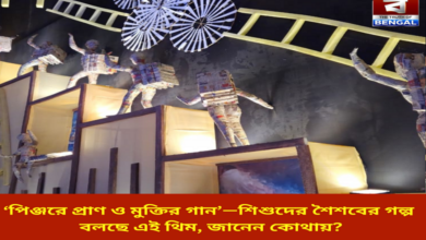 song-of-life-and-freedom-in-a-cage-this-theme-tells-the-story-of-childrens-childhood-do-you-know-where