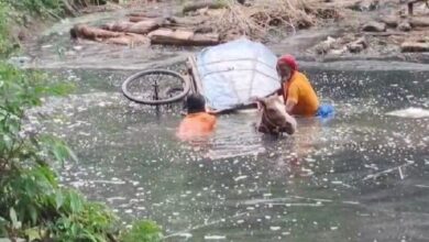 Cart Accident: Elderly Man Injured After Horse Cart Overturns