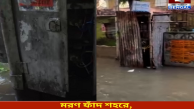 in-the-death-trap-city-multiple-feeder-boxes-open-their-mouths