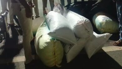 Two Arrested with Over 2 Quintals Cannabis in Murshidabad
