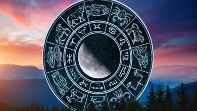 Zodiac Guide: Your Zodiac Guide for Today
