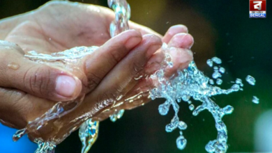 water conservation theme