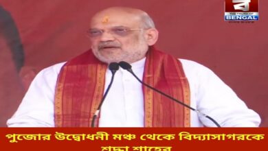 shah-pays-tribute-to-vidyasagar-from-the-opening-stage-of-the-puja-his-contribution-is-unforgettable