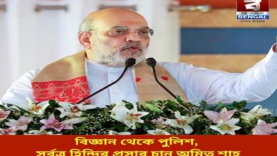 from-science-to-police-amit-shah-wants-hindi-to-spread-everywhere