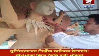 murshidabad-artists-innovative-initiative-durga-idol-made-of-bamboo-leaves