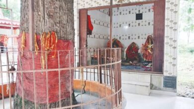 saleshwari-forest-durga-temple