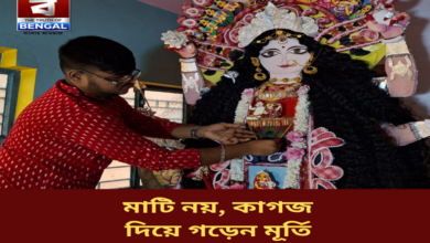 paper-goddess-jagaddhatri-creation