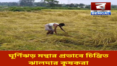 cyclone-mantha-threatens-aman-paddy-purulia-jhalda-west-bengal