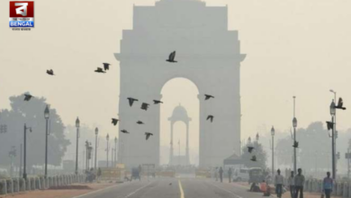 Delhi Cold Alert