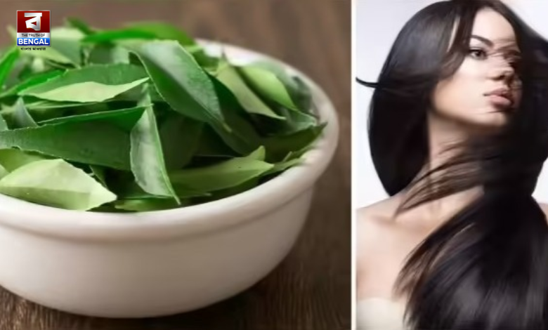curry-leaves-hair-serum-rinse