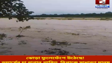 the-storm-has-come-to-a-head-dooars-tea-gardens-are-flooded-common-people-are-in-trouble