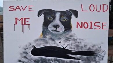 chandannagar-art-campaign-against-firecracker-noise-kali-puja-animals