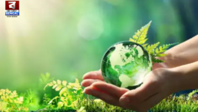 green economy