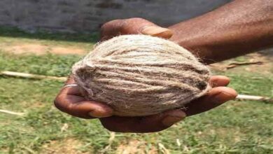 bomb-attack-bhangar-isf-leader-house-tmc-denies-involvement