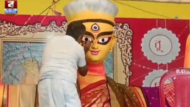 krishnanagar puja