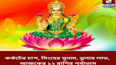 cancers-pressure-leos-reputation-libras-profit-todays-12-zodiac-signs-forecast