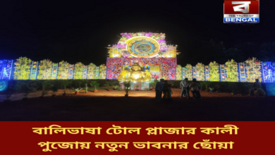 kali-puja-at-balibhasha-toll-plaza-has-a-touch-of-new-thinking-do-you-know-what-the-theme-is