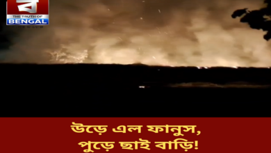 a-lantern-flew-over-burning-down-two-houses