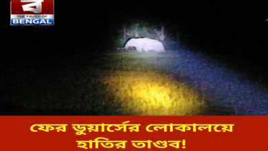 wild-elephant-attack-north-dhupjhora-duars-west-bengal