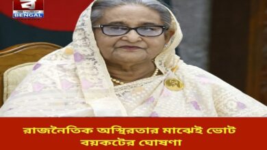 awami-league-supporters-boycott-2026-elections-says-hasina
