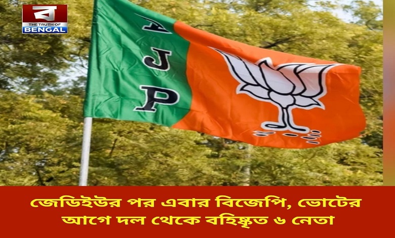 After JDU, now BJP, 6 leaders expelled from party before Bihar elections