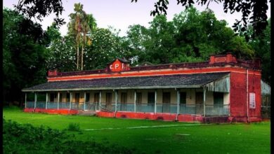 cpt-shimurali-winter-picnic-spot-nadia