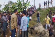 tragic-accident-in-dhupguri-elephant-dies-after-being-hit-by-train