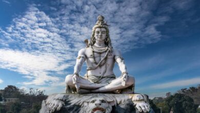 daily-zodiac-horoscope-energy-love-career