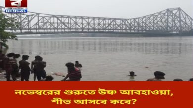 Warm weather in early November, when will winter come?