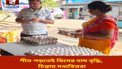 egg-prices-rise-as-winter-approaches-middle-class-worried