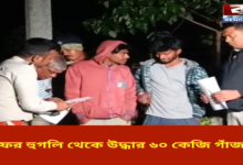 60 kg of marijuana recovered from Hooghly again