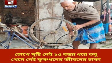 even-though-i-havent-seen-my-eyes-for-15-years-the-wheel-of-life-of-black-money-hasnt-stopped