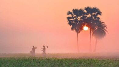 winter-weather-west-bengal-update