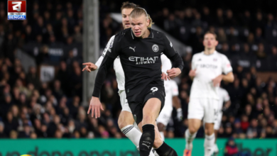 Haaland Premiere league