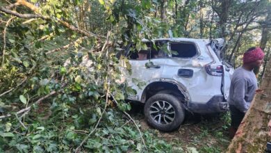 three-people-die-after-car-loses-control-and-falls-into-ditch