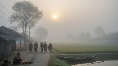 bengal-weather-update-stable-temperature-next-seven-days