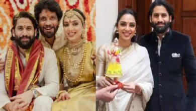 pregnancy-rumours-sobhita-dhulipala-naga-chaitanya